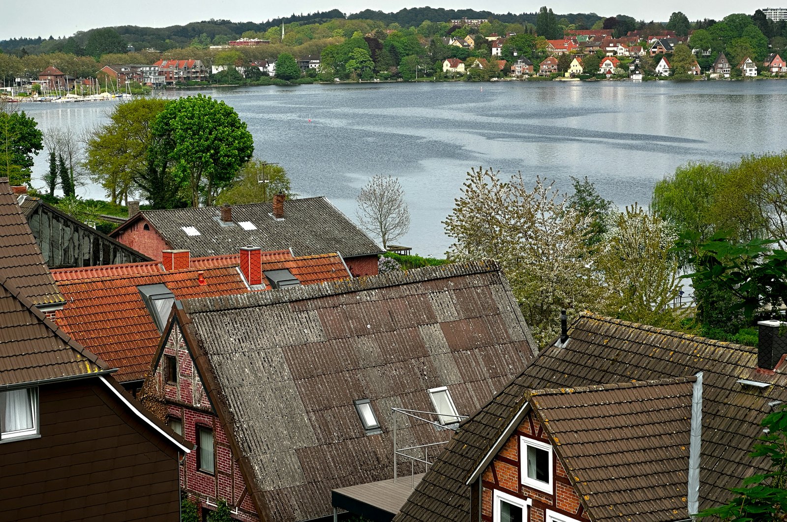 Current Housing Trends in Florida: What You Need to Know